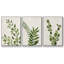 Botanical Wash I 3 pièces-97758415-97758416