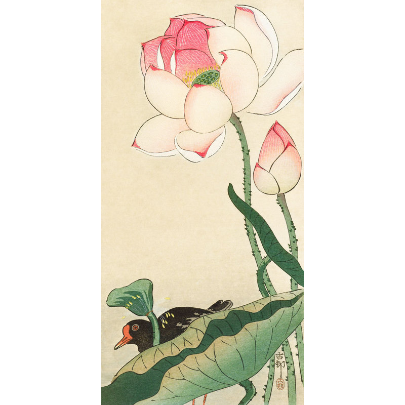 Lotus Flowers - Wrapped Canvas Print, 100cm H x 50cm W x 4cm D