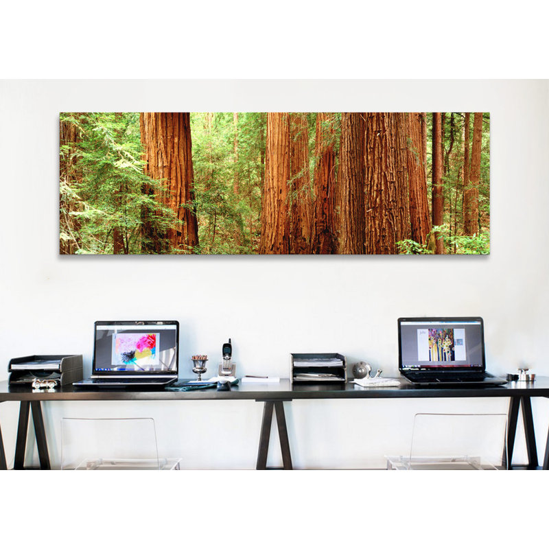 «Redwoods Muir Woods California», reproduction de photo sur toile, H 20 po x l 60 po x P 1,5 po, Toile tendue