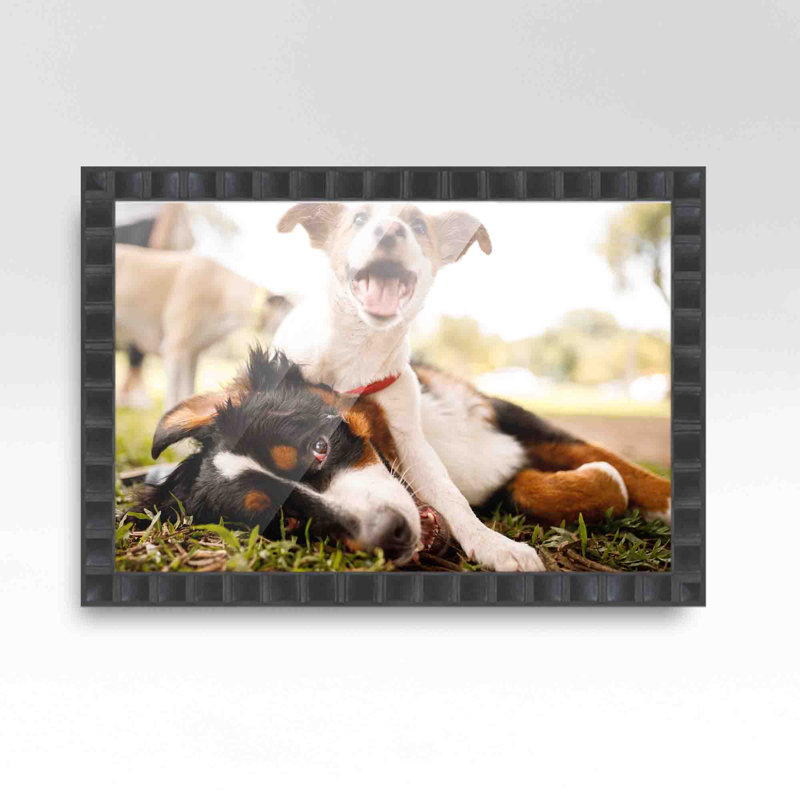 Cadre photo en bois massif Patt, L 11 po x H 10 po
