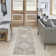 Millyr Washable Oriental Rug