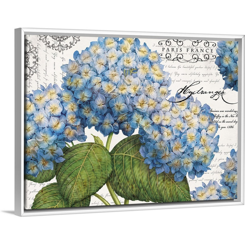 Art mural sur toile botanique, H 30 po x l 40 po x P 1,75 po, Toile avec cadre blanc
