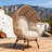 Outdoor Egg Chair with Cushion