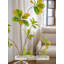 Ornement artificiel en ficus artificiel pour salon