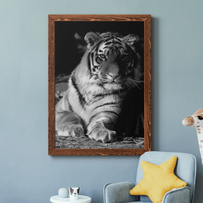 Tiger Repose - photographie avec cadre photo sur toile