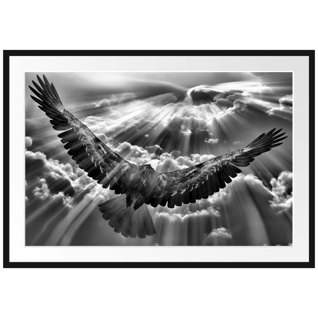 Anmutiger Adler über den Wolken Gerahmter Fotokunstdruck Poster