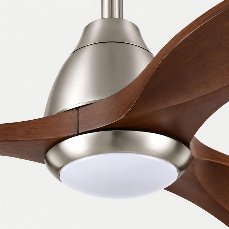 Ventilateur de plafond Modern , Nickel, Dark Brown