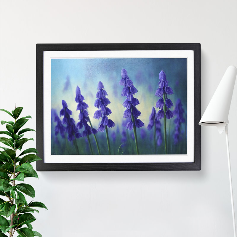 Bluebell Flower Vol.1 - Single Picture Frame Print, Black Framed, 46cm H x 64cm W x 2cm D