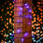 50 guirlandes lumineuses à DEL-2071348947