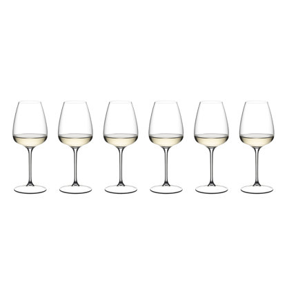 RIEDEL GRAPE@RIEDEL Glasses Set (Set of 6)