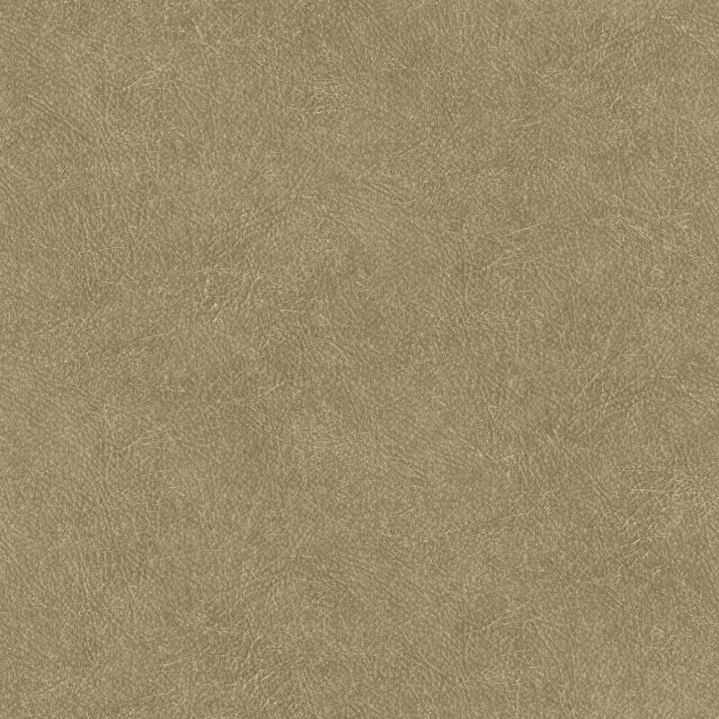 Praveen 10.05m x 53cm Matte Double Roll, Beige