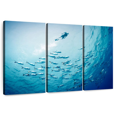 Senne Underwater With The Fishes