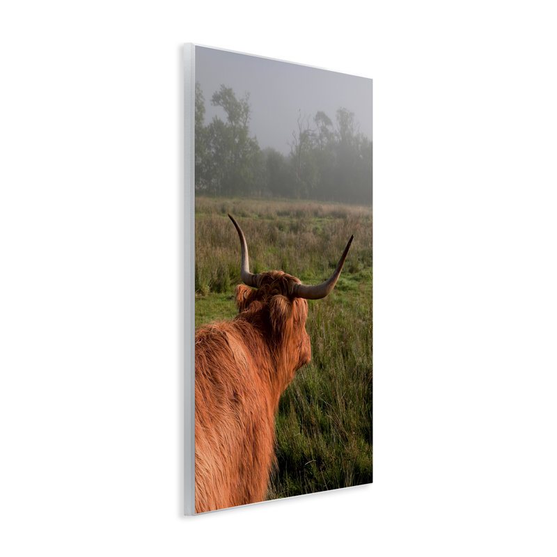 «Highland Cow Gazing Out», plaque murale par Jenny Rainbow Fine Art, H 19 po x l 13 po