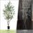 Faux Olive Tree With Fruit And Realistic Leaves For Home Decor-1148567850
