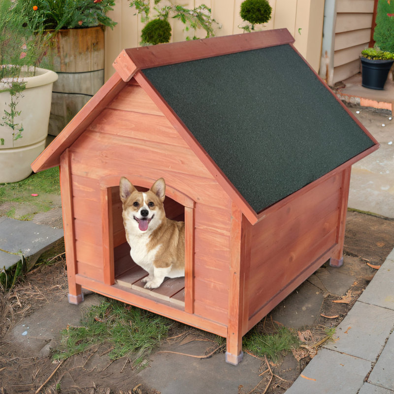Niche pour chien Demont Golden