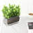 Jeilin Glass Pot Planter