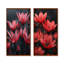 Monochromes rouges, noirs, pissenlits, gouttes de pluie-539347123-539347130-539347121