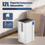 Roniel Air Dehumidifier