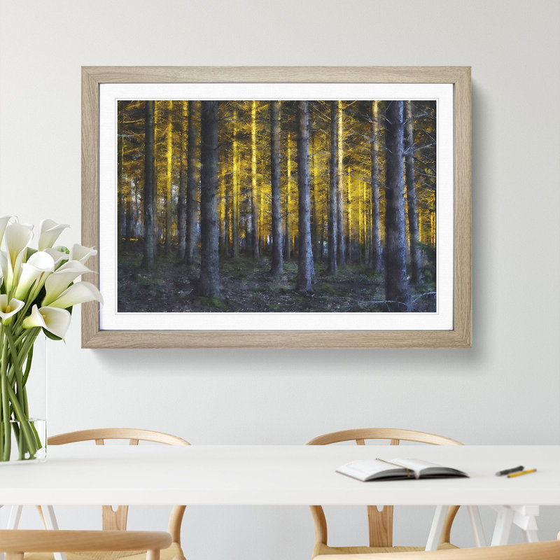Sunlight Forest Vol.4 - Picture Frame Painting, 48cm H x 65cm W x 2cm D, Oak Framed