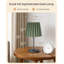 11.4" Dimmable Table Lamps