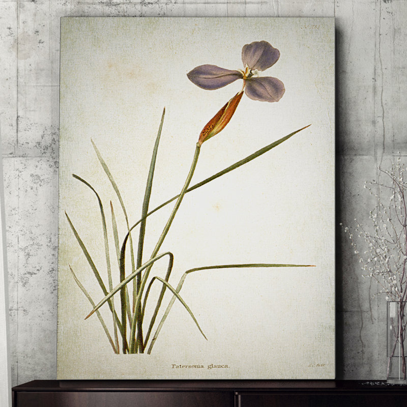 «Botanical Plate XV», reproduction d'impression sur toile, H 18 po x l 27 po x P 1,5 po