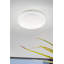 Crenata LED Flush Mount-35865468