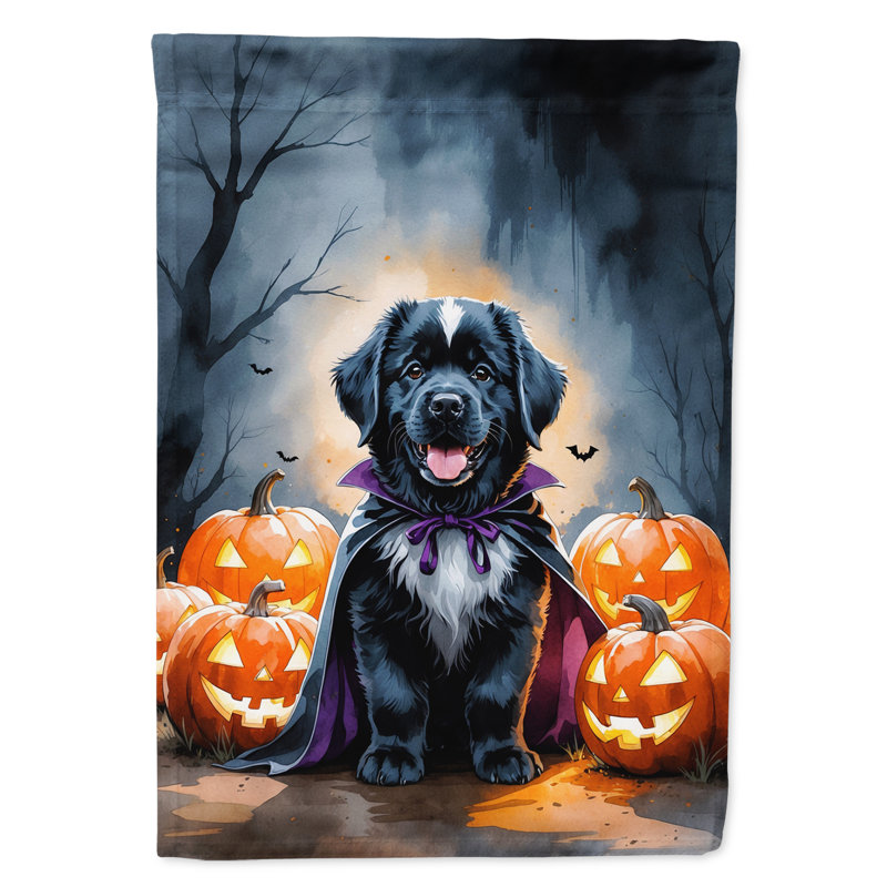 Drapeau de jardin chiot Halloween, Terre-Neuve
