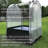 44'' W x 44'' D Cold Frame
