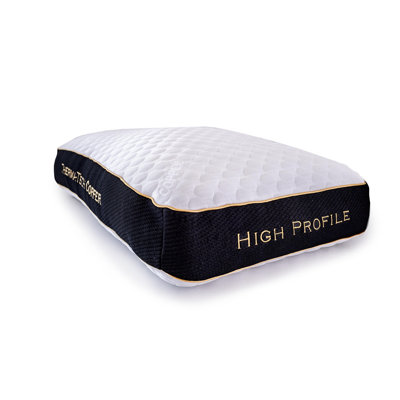 Healthy Sleep Therma-Tech with Copper Pillow