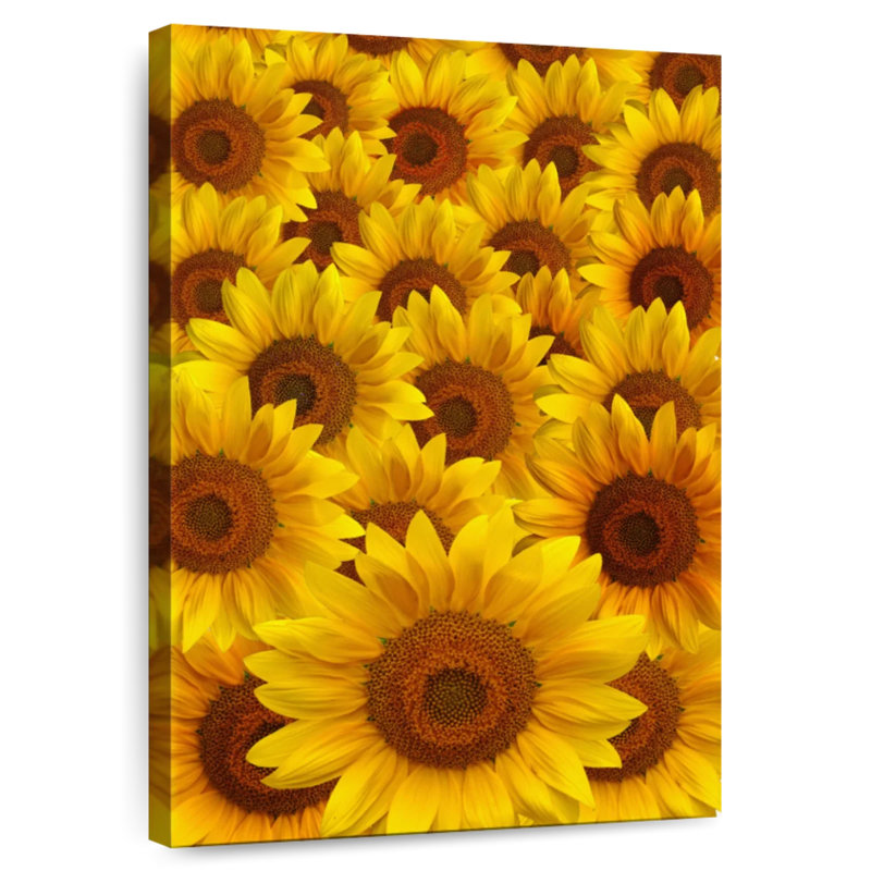 Harnek Sunflower Crowd, 24" H x 16" W