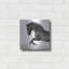 "Zalso" par Susan Friedman-1111657485