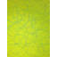 «Straight Line 2» par Drew Gaffney-471891354