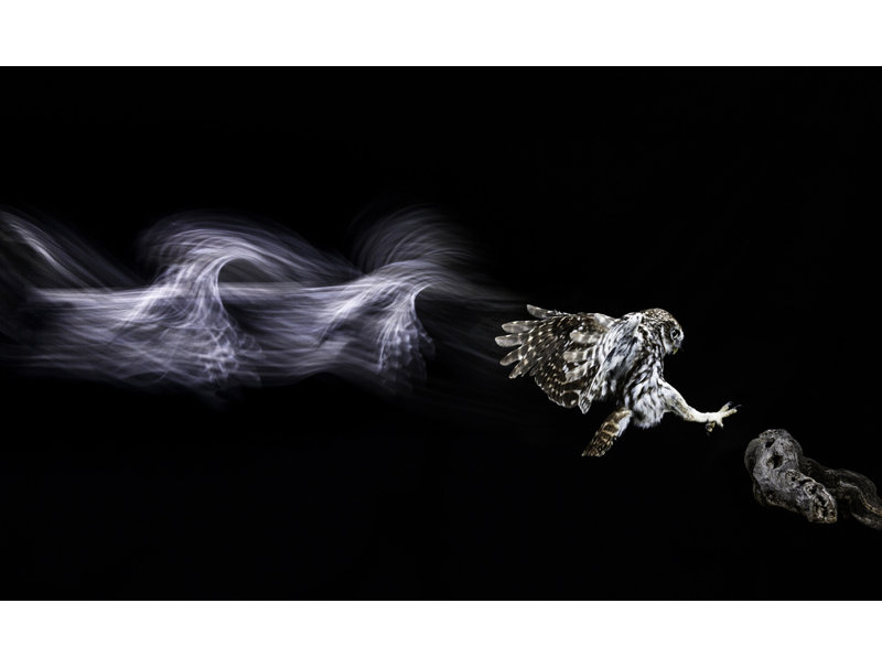 Wrapped Canvas Print, 81.28 cm H x 121.92 cm W