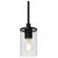 Mini-luminaire suspendu en verre à 1 lumière Pieternella
