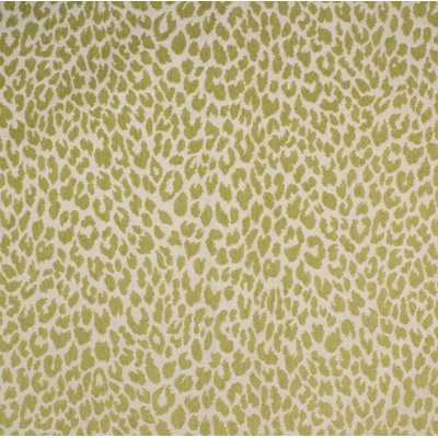 Shenzi Fabric