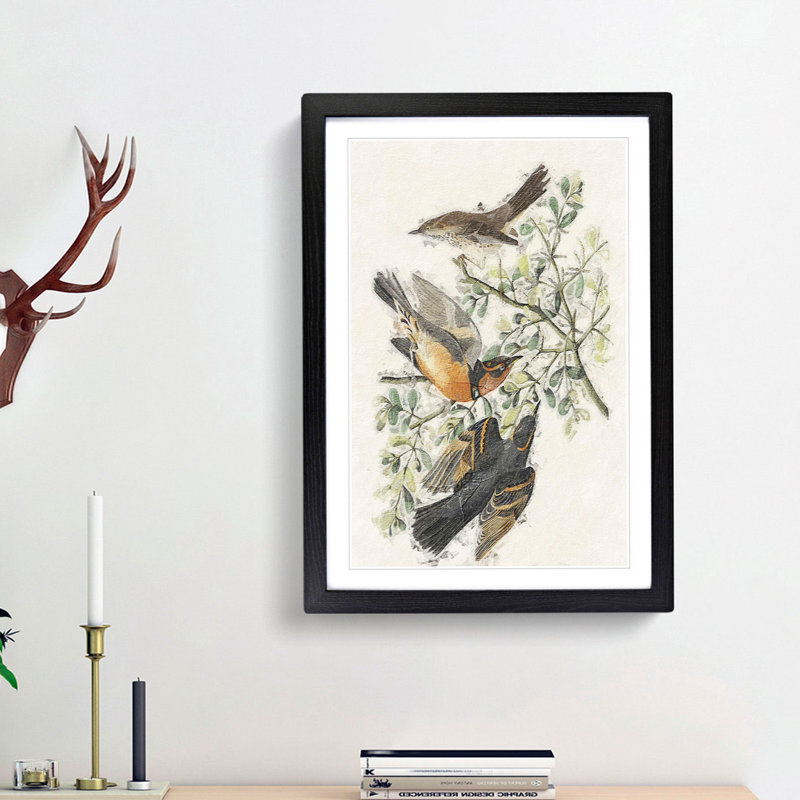 Thrush & Mountain Mocking Birds by John Audubon - Picture Frame Painting Print, 65cm H x 48cm W x 2cm D, Black Framed
