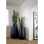 Fausse plante dracéna en pot Rummond-49421110-49421111