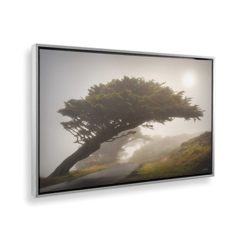 «L'arbre penché» par Martin Podt, reproduction d'art, H 13,5 po x l 19,5 po, Argent, Toile avec cadre