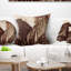 Coussin Seashore Yosemite-89823858-29346212