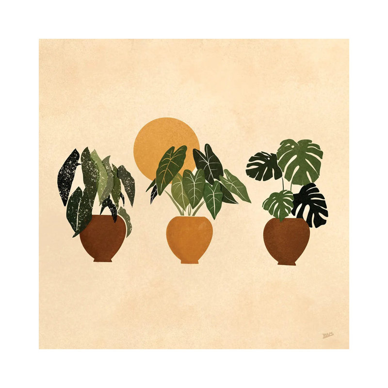 Impression d’art graphique, "houseplants I" par Bria Nicole, Pas de tapis, Toile tendue, H 12 po x l 12 po x P 0,75 po