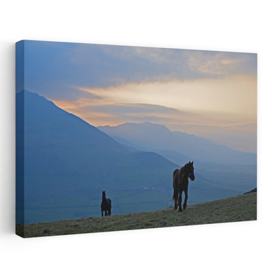Chevaux sur Croaghaun, avec les montagnes Comeragh, comté de Waterford, Irlande, art contemporain de paysage cheval contemporain