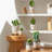 Owens Ceramic Statue Planter