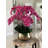 Roberi Arrangement in Pot-318745111-311770224
