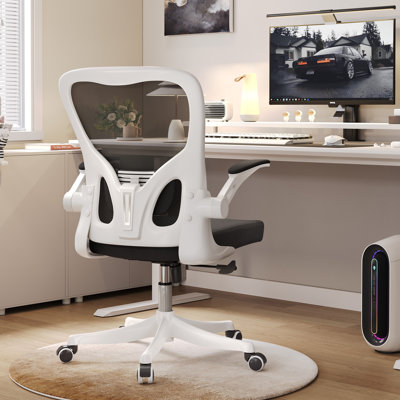 Chaise de bureau ergonomique avec support lombaire, hauteur réglable, accoudoirs rabattables en deux dimensions, filet respirant, chaise de bureau confortable pour , le bureau, les bureaux et les jeux