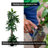 Hand-Made Primrue Tropical 6.5'' Artificial Birdnest Tree
