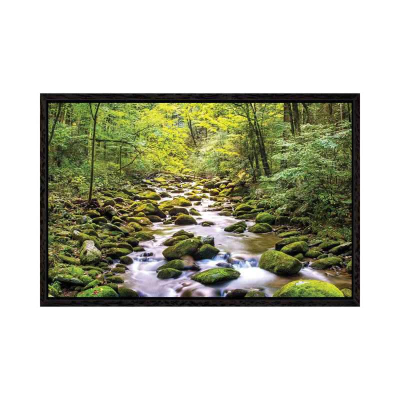 Creek Running Through Roaring Fork In Smoky Mountains by Susan Schmitz - Print on Canvas, Black Floater Framed