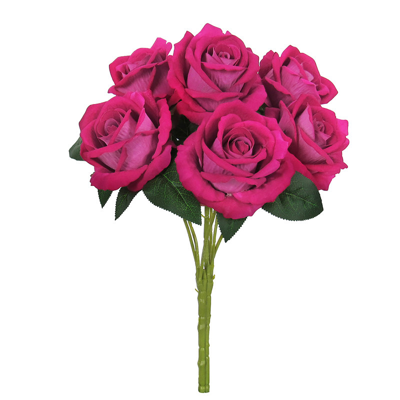 Velours rosier, Rose millennial