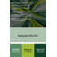 «Geometric Abstraction 79», art mural sur toile verte-422188468
