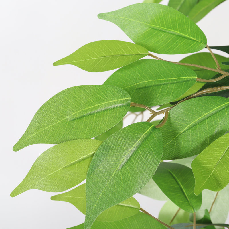 Ficus artificiel Lyman 6 pi avec tronc de bois naturel