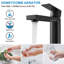 Single-Hole Single-handle Bathroom Faucet with Drain Assembly-94902372